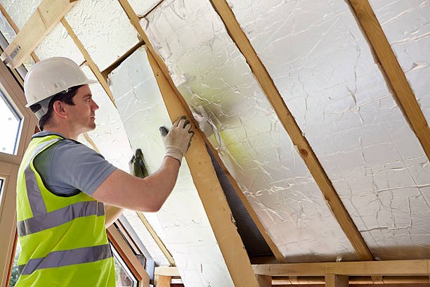 Best Local Insulation Services  in Belgium, WI